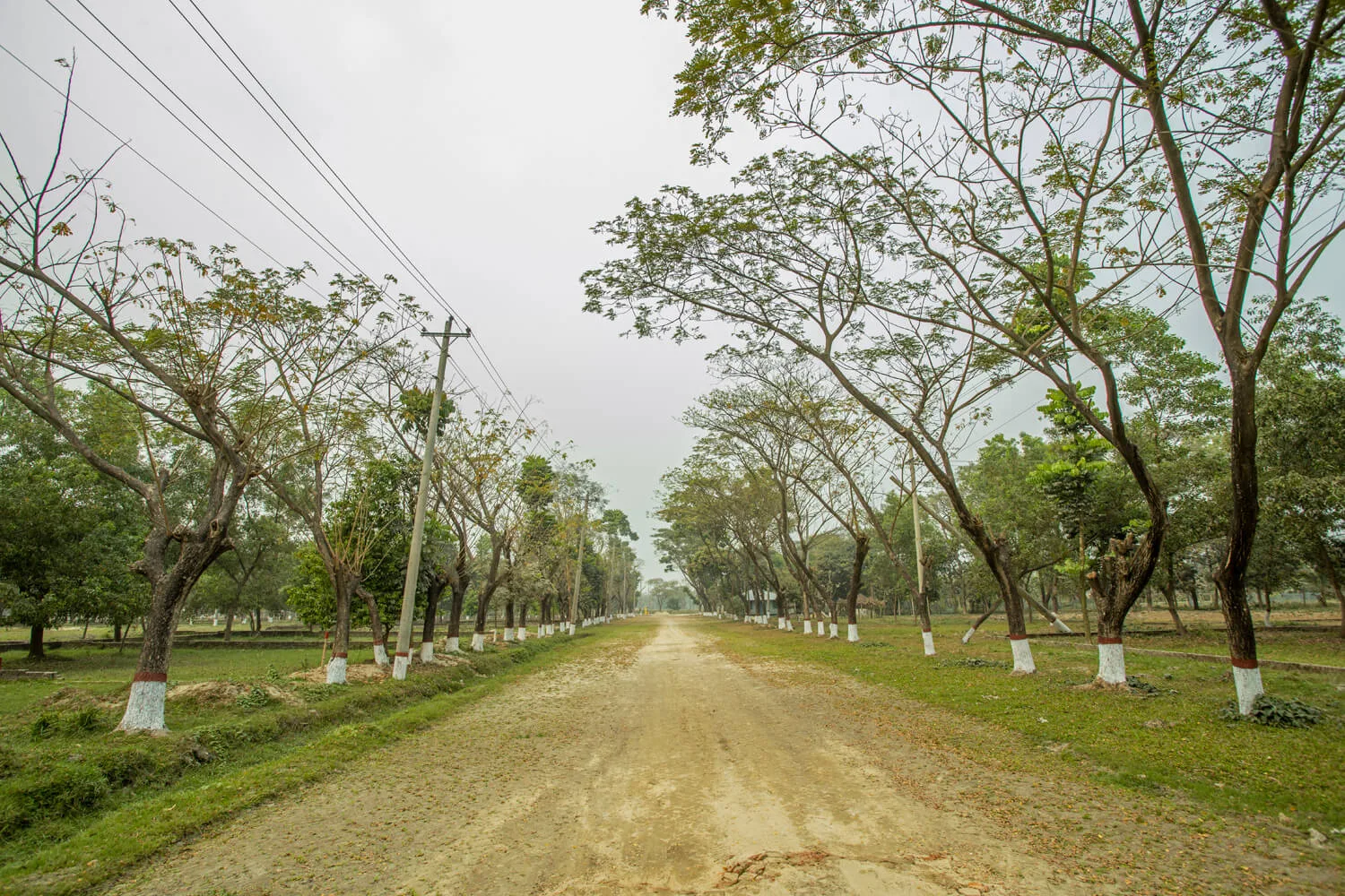 Dhaka-Village-Project-Photo-02