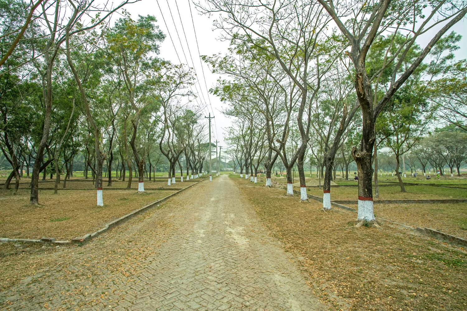 Dhaka-Village-Project-Photo-04